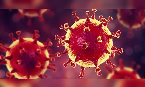 Apucarana registra 2 mortes e 80 casos de covid na sexta