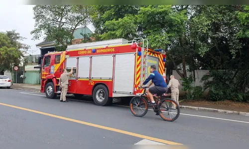 Cão fica preso em ponta de lança de grade e bombeiros são acionados