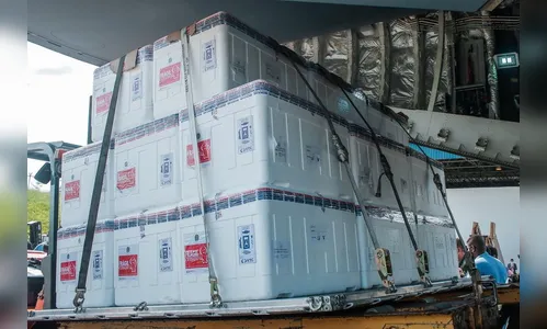 O Estado do Rio de Janeiro estima que aplicação do primeiro lote vacinas comece até sábado