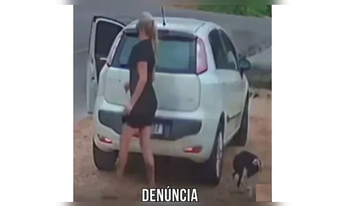 Mulher é presa após ser filmada abandonando cachorro em Curitiba