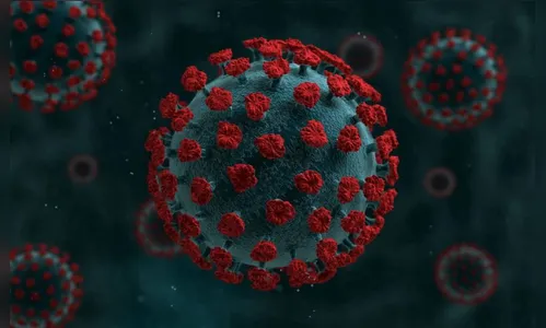 Anticorpos podem ficar mais fortes 6 meses após infecção por Covid-19, diz estudo