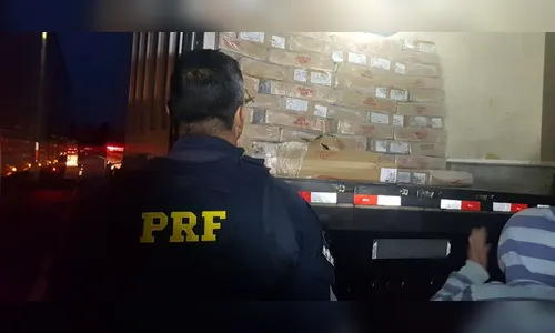 PRF evita saque de carga de toneladas de frango na BR-376