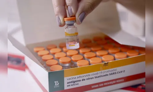 Vacinas já chegaram aos 399 municípios do Paraná