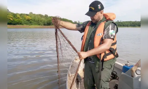 Força-Tarefa reforça combate à pesca predatória e desmatamento