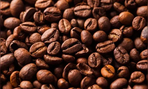 Pesquisa da Conab indica queda na produção nacional de café em 2021