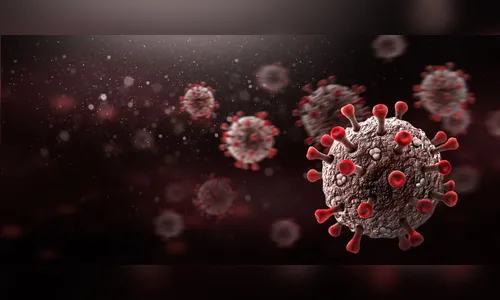 Faxinal registra 22 novos casos e uma morte por covid-19