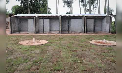 Construção do Canil Municipal entra em fase final com 95% de execução