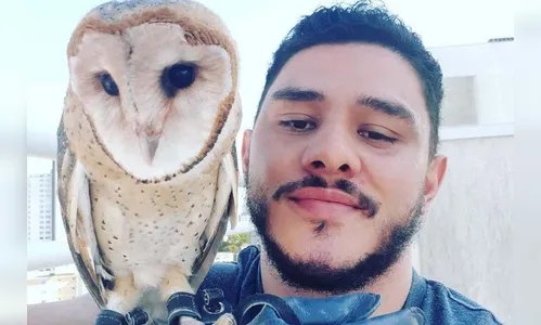 Aumenta o número de animais silvestres em casa