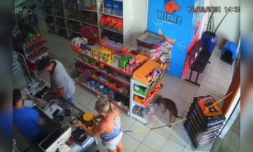 Cachorro é flagrado 