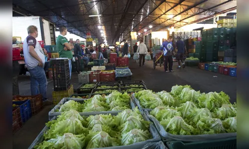 Ceasa e IDR-Paraná firmam termo de cooperação técnica