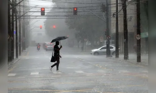 Chuvas de janeiro no Paraná ultrapassam média histórica