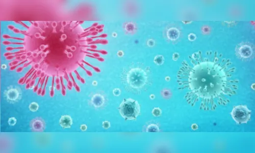 Criança de 2 anos está entre os novos casos de covid em
Apucarana