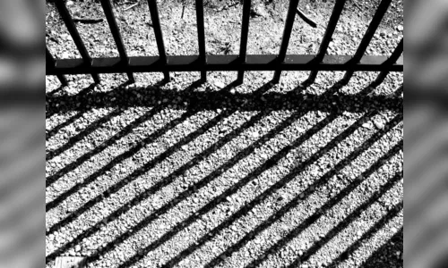 Dupla tenta despistar PM, mas acaba presa com diversas drogas