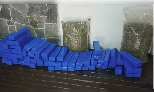 GM apreende grande quantidade de maconha e 'skank'; veja