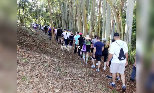 Governo apresenta em Apucarana novo modelo de caminhadas na natureza