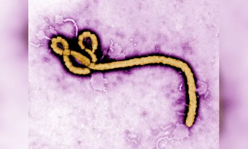 Guiné declara novo surto de ebola