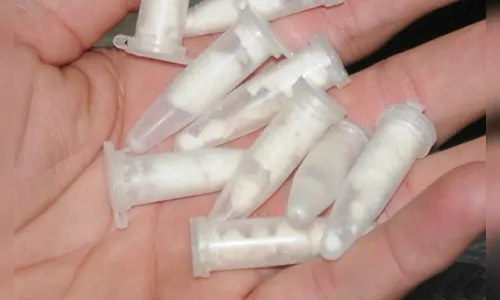 Homem de 63 anos com tornozeleira continuava traficando