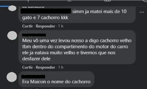 Homem posta que matou cães e gatos e gera revolta