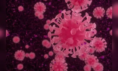 Jardim Alegre registra nesta quinta-feira (28/1) seis casos de Covid-19