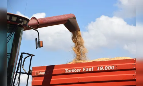 Ladrões furtam soja em propriedade rural no Vale do Ivaí