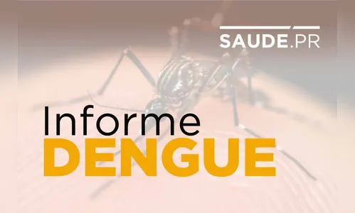 Levantamento mostra presença do Aedes aegypti em 6 mil locais no Paraná