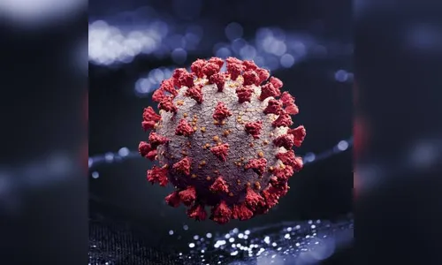 Mãe esconde teste positivo de covid e dias depois morre junto do marido e dos 3 filhos