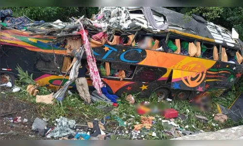 Motorista de acidente com 19 mortes alega problema nos freios