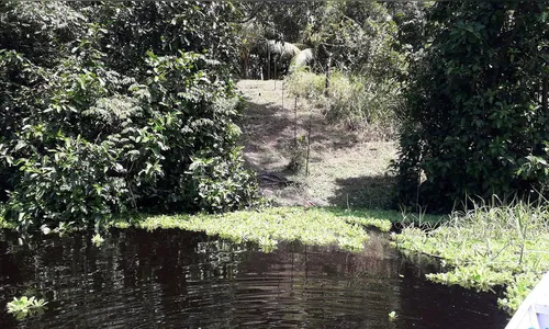 Mourão defende novo modelo de desenvolvimento para a Amazônia