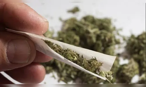 Mulher encontra maconha escondida dentro de areia e aciona PM