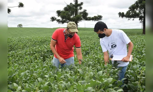 Chuvas ultrapassam média esperada para janeiro e preocupa agricultores