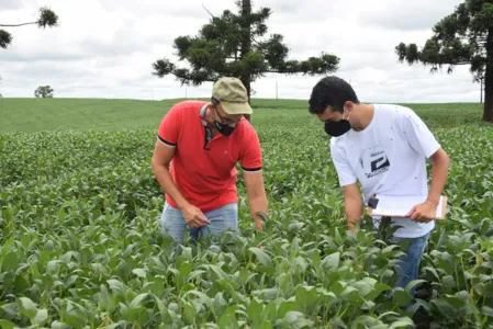O excesso de umidade preocupa os produtores rurais, que podem ter perdas consideráveis com a safra de verão