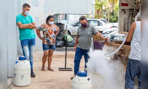 Secretaria da Agricultura de Jardim Alegre retoma inseminação artificial de bovinos