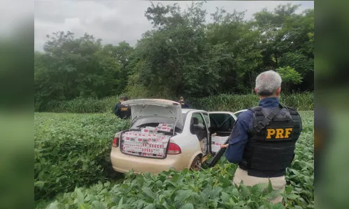 PRF apreende veículo abarrotado de cigarros contrabandeados do Paraguai