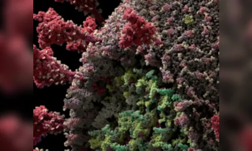 Paraná confirma  3.446 novos casos de Covid-19