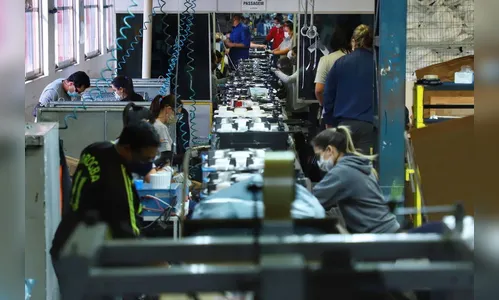 Paraná foi o estado que mais gerou empregos nos pequenos negócios em 2020