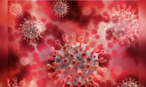 Paraná registra 2.078 novos casos e 14 mortes nesta segunda-feira