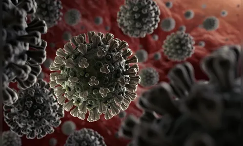 Paraná soma 557.856 casos confirmados de Covid-19