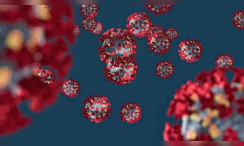 Paraná totaliza 585.135 casos confirmados pela Covid-19