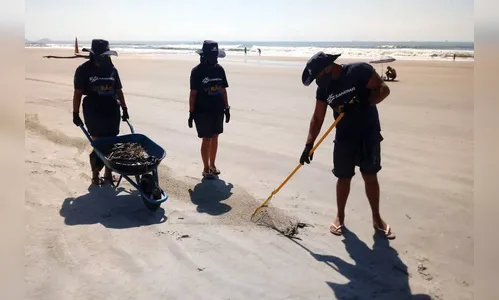 Sanepar retira mais de 500 toneladas de lixo no Litoral
