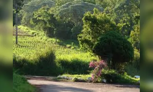 Suspeitos atiravam com arma de pressão no Parque da Raposa