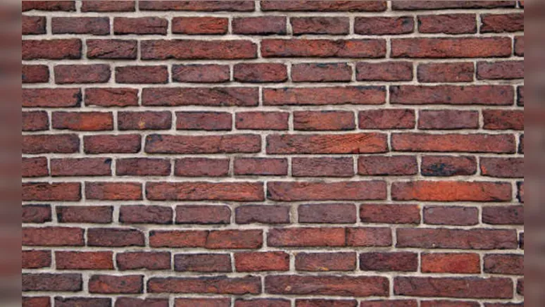 Imagem ilustrativa da notícia BBB REAL