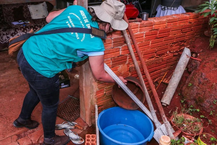 Apucarana intensifica combate à chikungunya