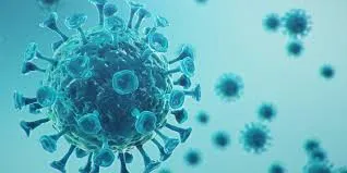 Arapongas registra 62 novos casos de Coronavírus e 4 óbitos