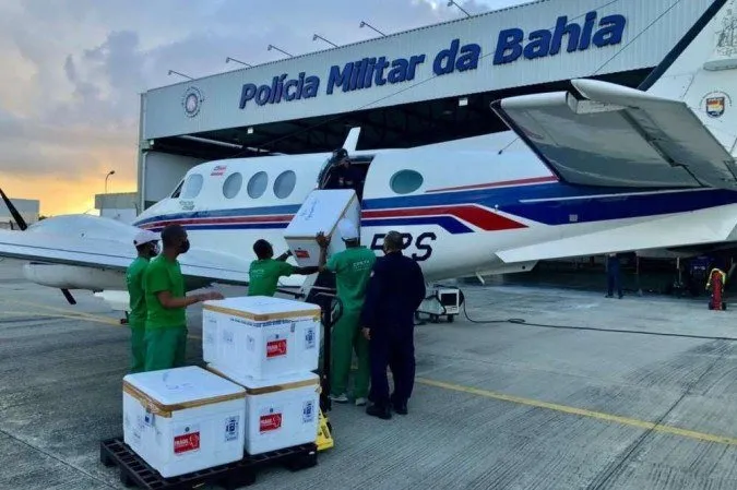 Avião com doses da vacina contra a covid-19 bate em jumento na Bahia