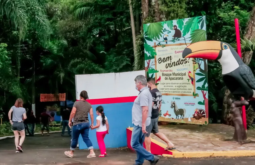 Bosque Municipal reabre nesta quinta-feira