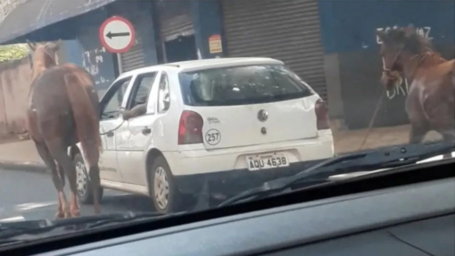 Carro da prefeitura é flagrado puxando cavalos; moradores se revoltam