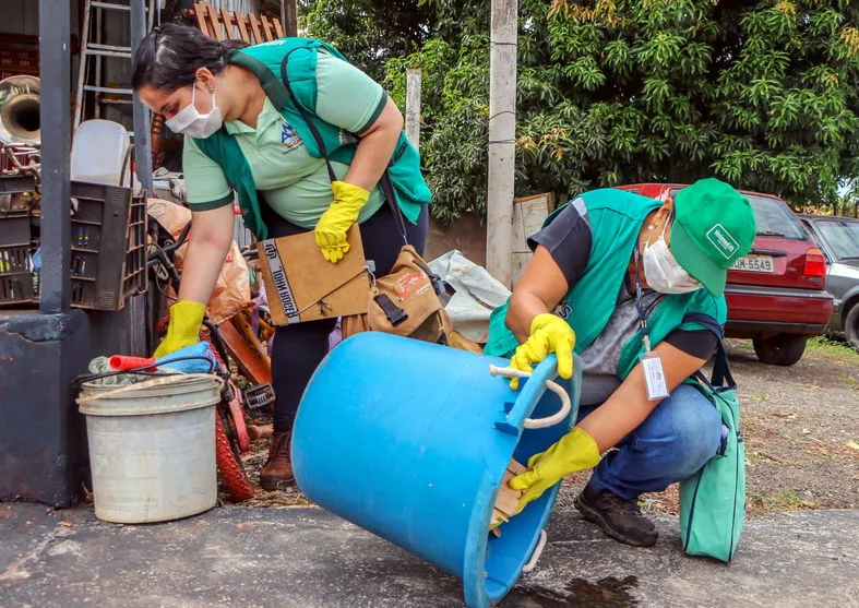 Casos de chikungunya geram alerta em Apucarana