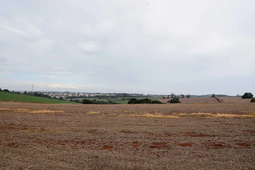 Com o solo e clima seco, o plantio do trigo nos 15 municípios região da SEAB de Ivaiporã ainda não começou  