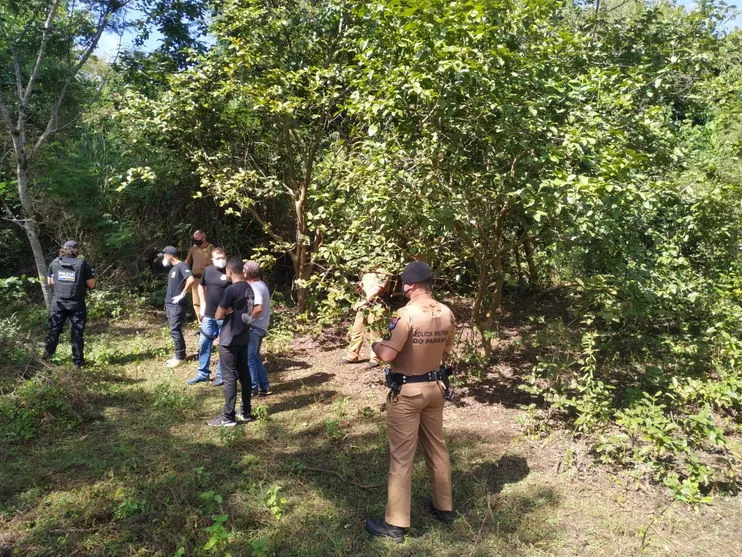 Corpo é encontrado na zona rural de Apucarana; veja