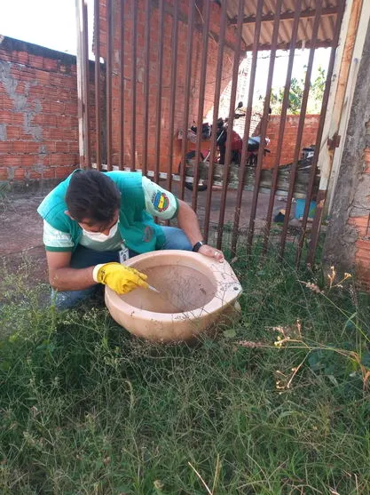 Força-tarefa combate mosquito Aedes Aegyti em Apucarana